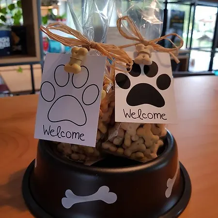 酒店 奥利吉欧马尔彭萨酒店 3*